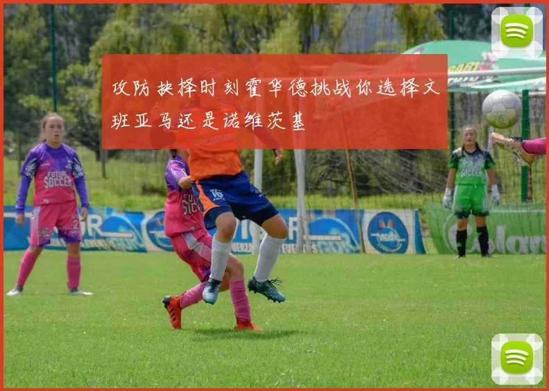 攻防抉择时刻霍华德挑战你选择文班亚马还是诺维茨基